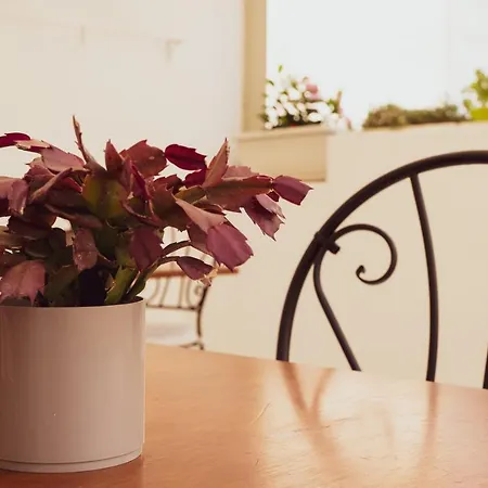 Bed & Breakfast Antico Palmento 4*