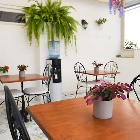 Bed & Breakfast Antico Palmento Lipari (Isola Lipari)