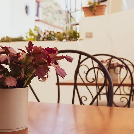 Antico Palmento Липари