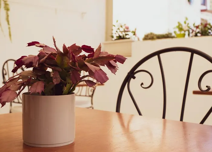 Bed & Breakfast Antico Palmento 4*